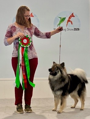 Quelle merveilleuse expérience au World Dog Show 2026 !
